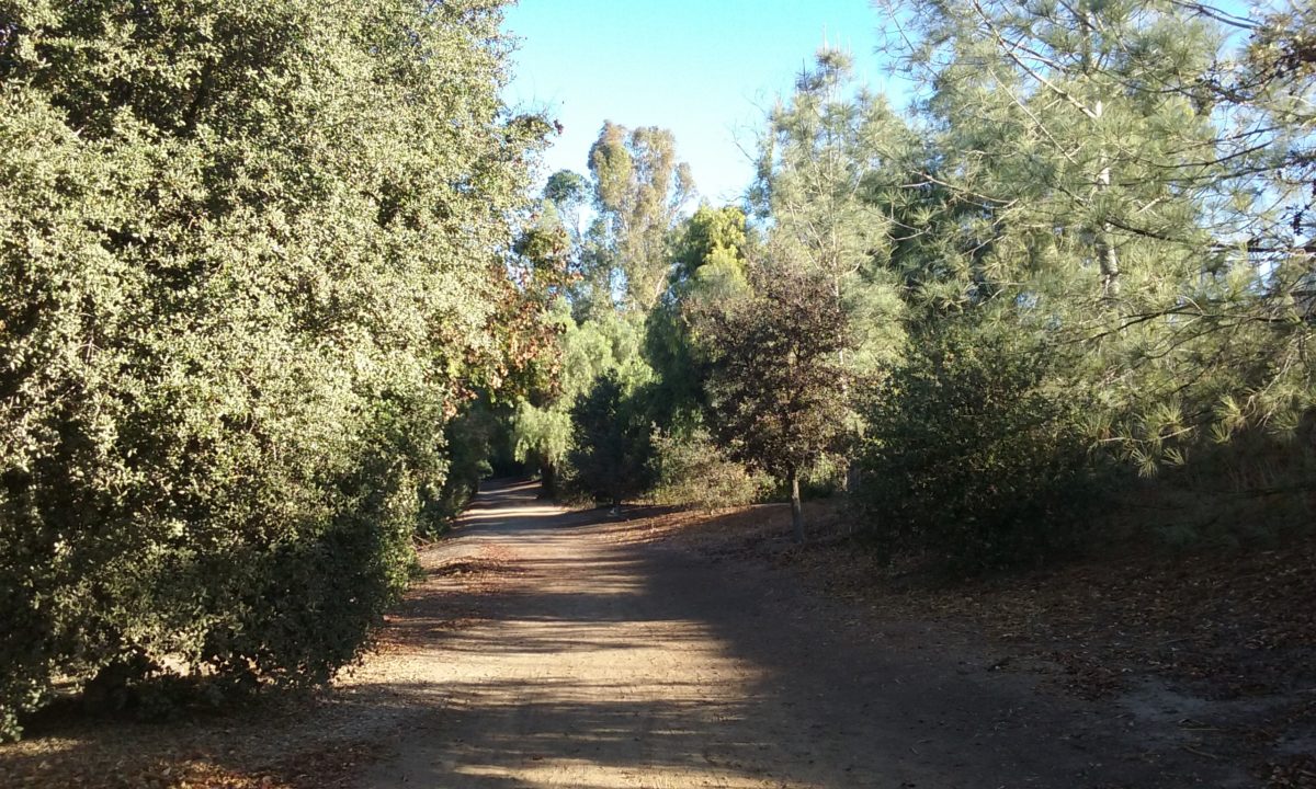 Juanita Cooke Trail – Fullerton Walks